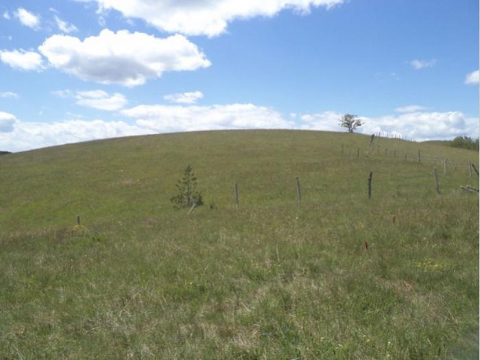 zemljište na prodaju zlatibor besplatni mali oglasi