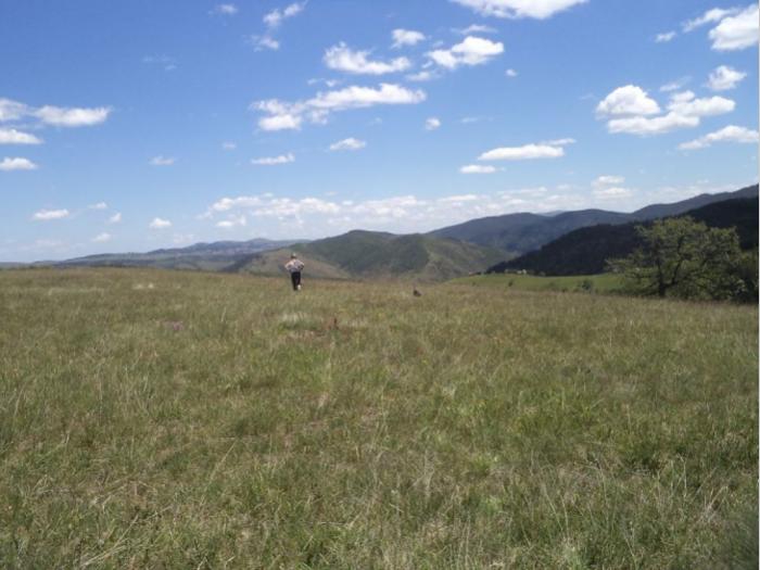 zemljište na prodaju zlatibor besplatni mali oglasi