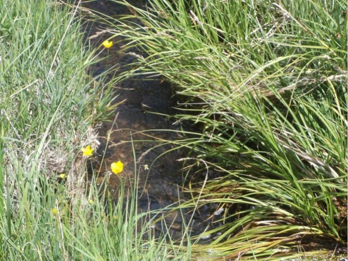 zemljište na prodaju zlatibor besplatni mali oglasi