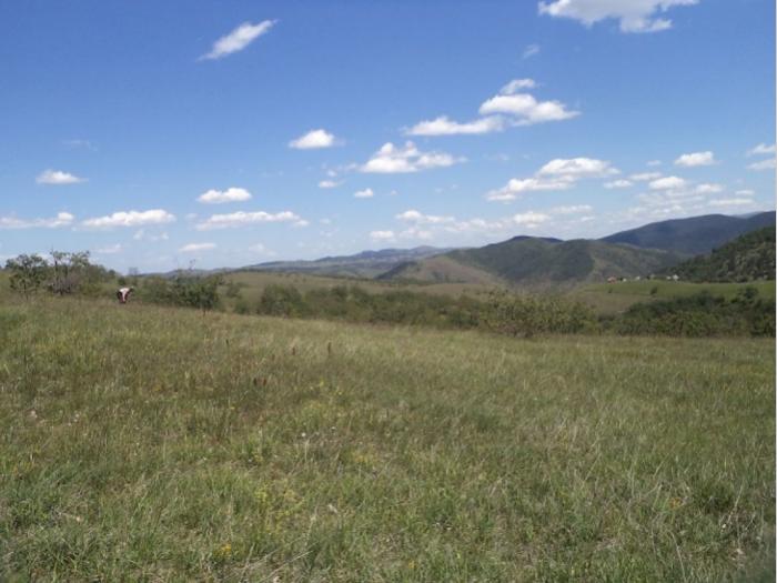zemljište na prodaju zlatibor besplatni mali oglasi