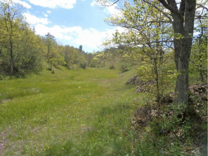 zemljište na prodaju zlatibor besplatni mali oglasi