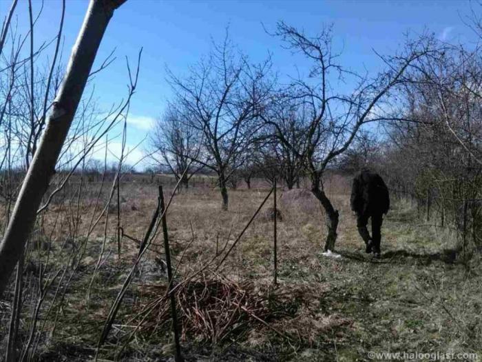 kusadak,počevica kod škole, 28 ari besplatni mali oglasi