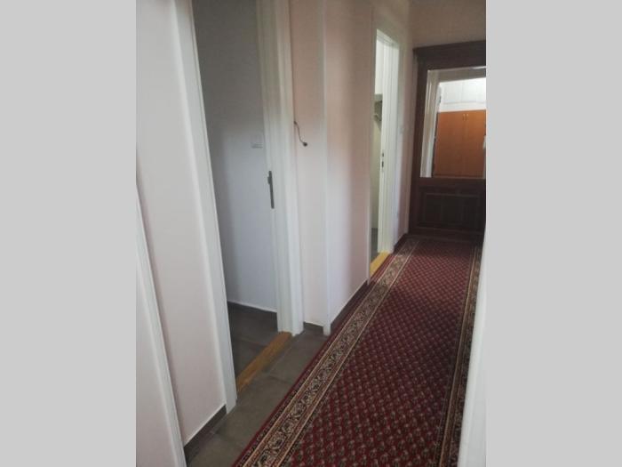 izdavanje, zemun, kalvarija, zemunski park, 90m2 besplatni mali oglasi