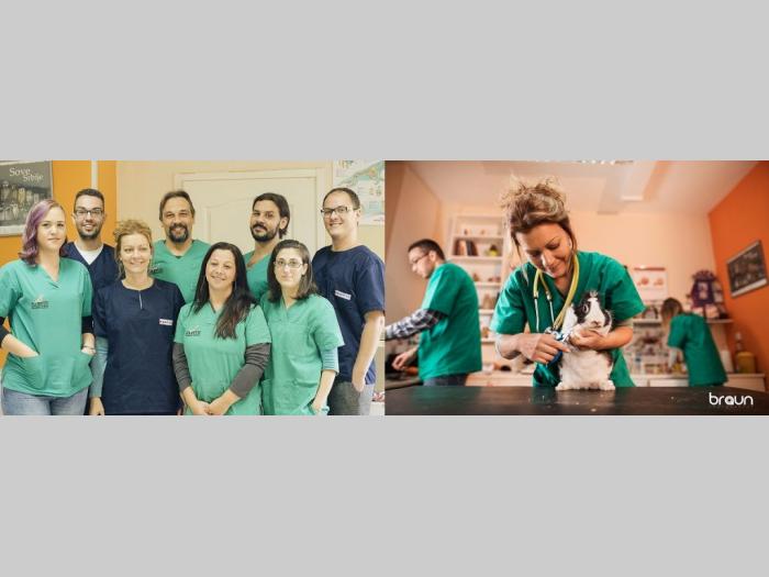 veterinarska ambulanta i pet shop novi sad besplatni mali oglasi