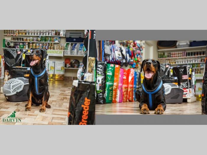 veterinarska ambulanta i pet shop novi sad besplatni mali oglasi