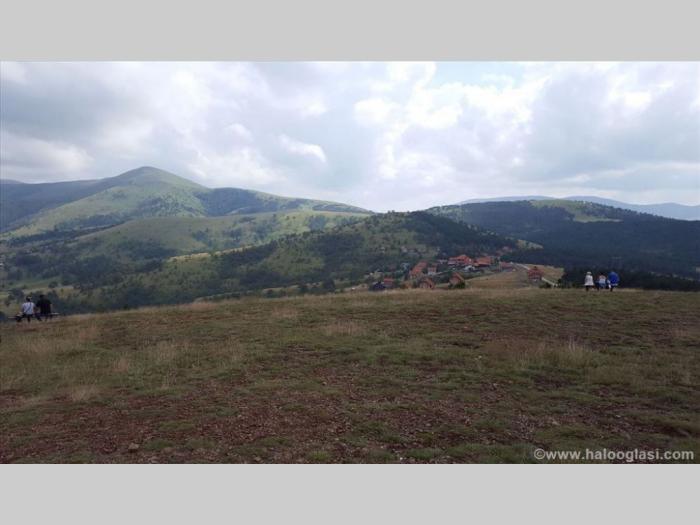 zlatibor gajevi, plac besplatni mali oglasi