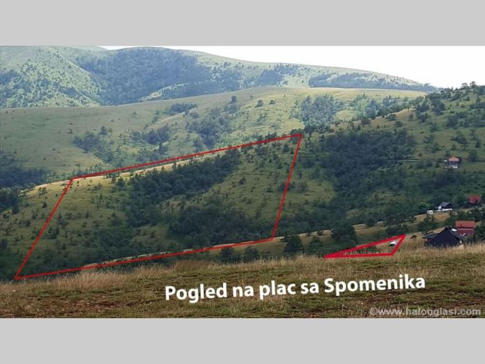 zlatibor gajevi, plac besplatni mali oglasi