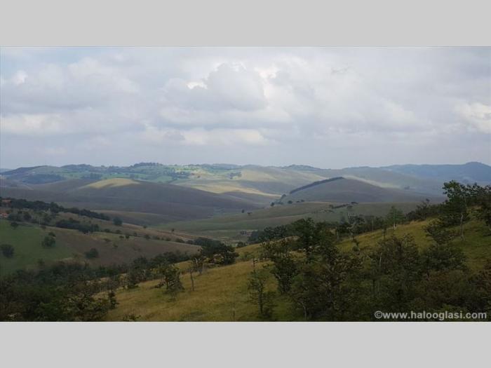 zlatibor gajevi, plac besplatni mali oglasi