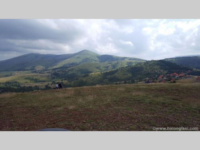 zlatibor gajevi, plac besplatni mali oglasi
