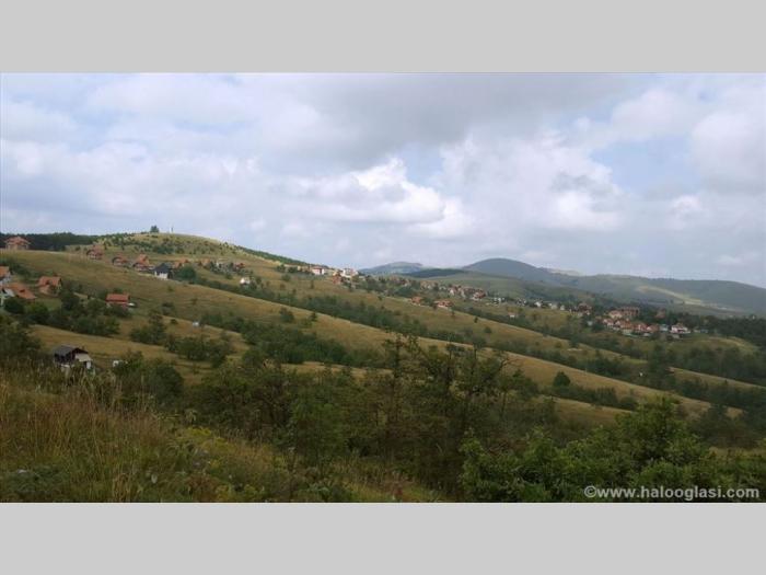 zlatibor gajevi, plac besplatni mali oglasi