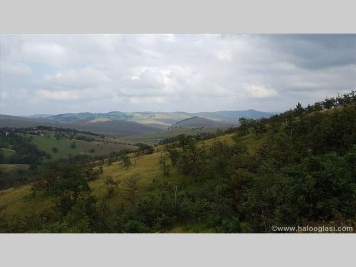 zlatibor gajevi, plac besplatni mali oglasi
