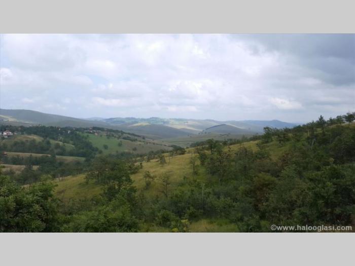 zlatibor gajevi, plac besplatni mali oglasi