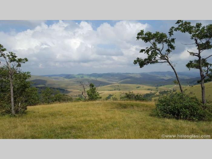 zlatibor gajevi, plac besplatni mali oglasi