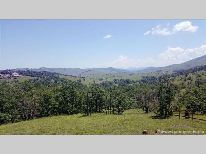 zlatibor gajevi, plac besplatni mali oglasi