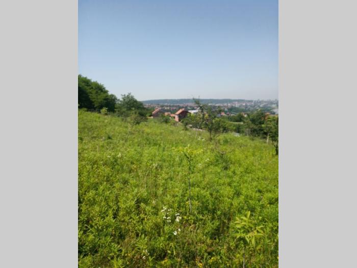 prodaja placa besplatni mali oglasi