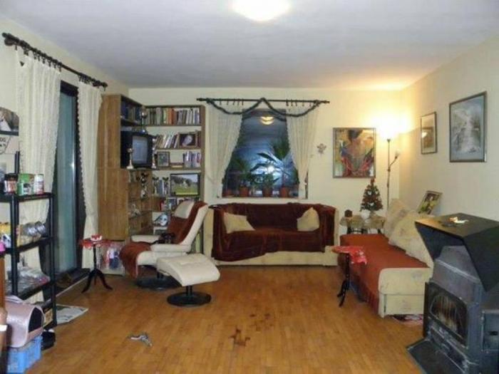 pansion za pse royal beograd besplatni mali oglasi