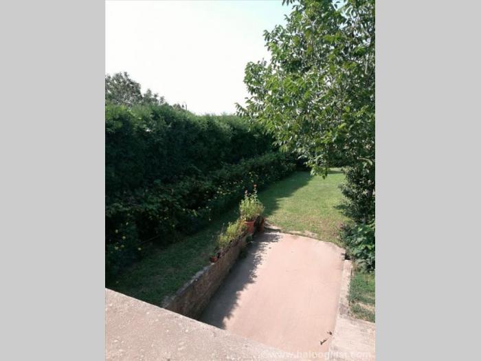 prelep plac sa kućom na plazi dunavca u kostolcu besplatni mali oglasi