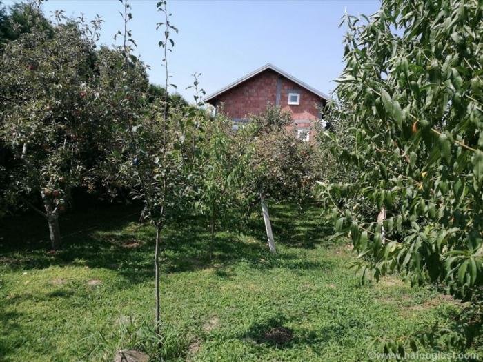 prelep plac sa kućom na plazi dunavca u kostolcu besplatni mali oglasi