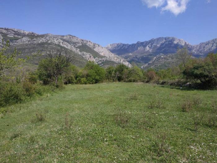 prodajem placeve u baru besplatni mali oglasi