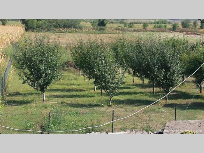 prodaja placeva besplatni mali oglasi