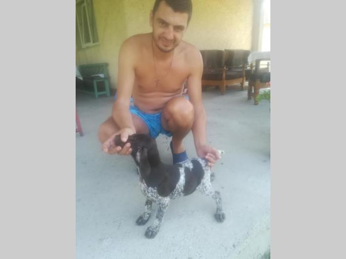 ženkice nkd, stare 70 dana besplatni mali oglasi