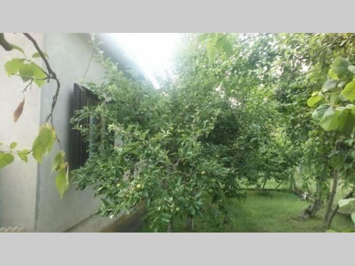 zvečka, obrenovac kuća sa okućnicom besplatni mali oglasi