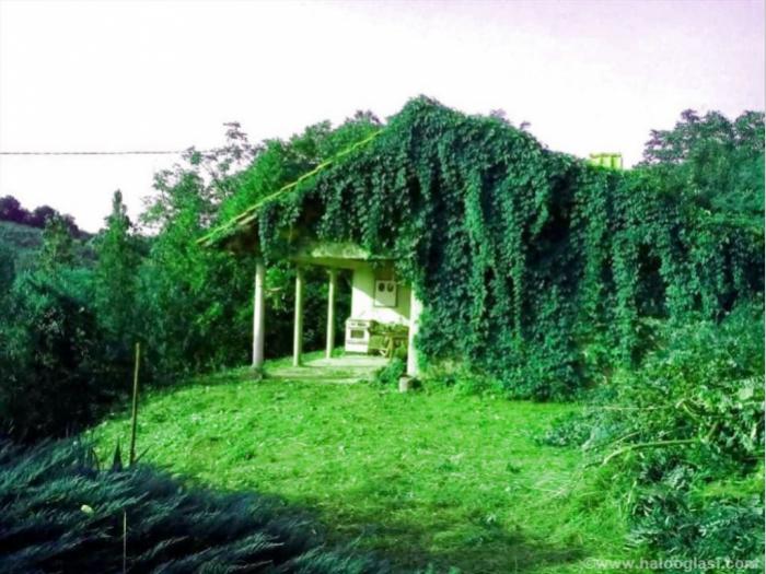 prodajem vikendicu, mesto seone besplatni mali oglasi