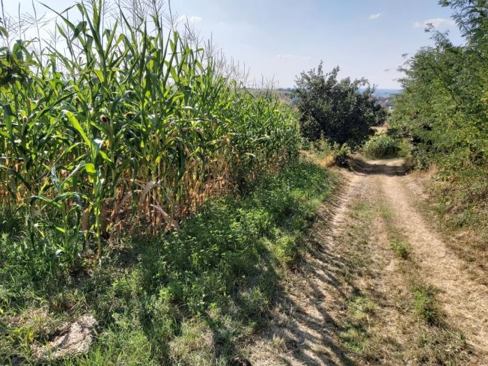 kuća sa imanjem besplatni mali oglasi