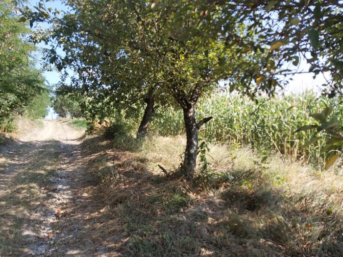kuća sa imanjem besplatni mali oglasi