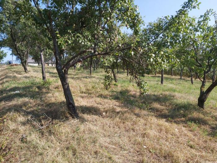 kuća sa imanjem besplatni mali oglasi