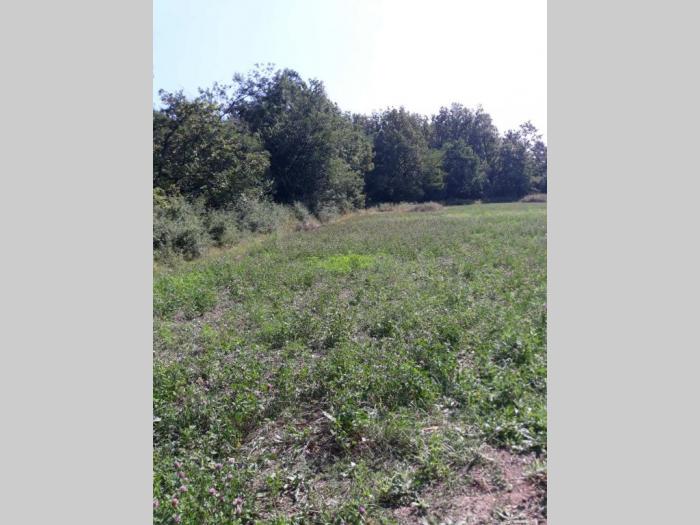 prodajem plac 1 10ha u vraniću besplatni mali oglasi