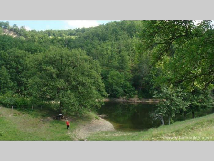 kuća sa bunarom i plac pod šumom sa izlazom na jezerom prodaja besplatni mali oglasi