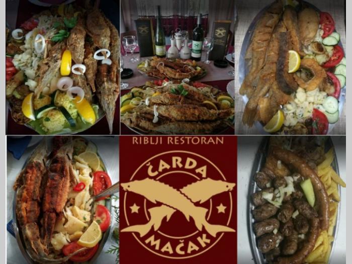 riblji restoran novi sad besplatni mali oglasi