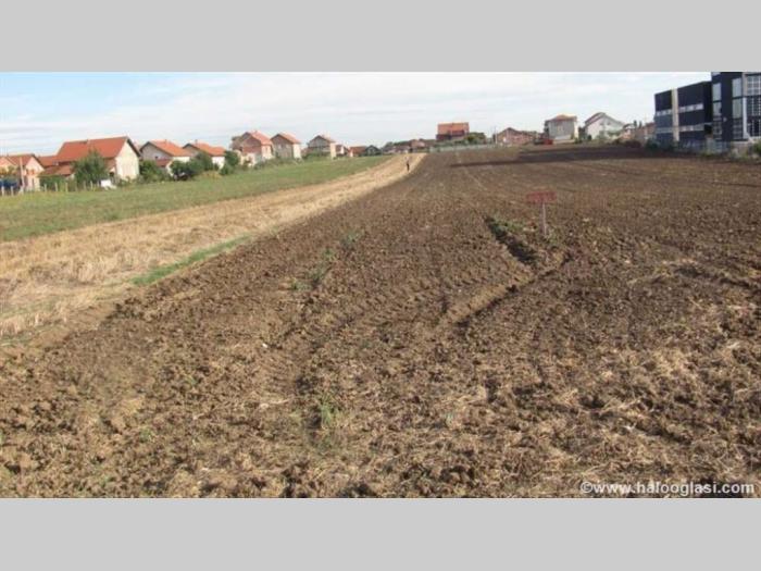 prodaja placeva batajnica belarićka besplatni mali oglasi