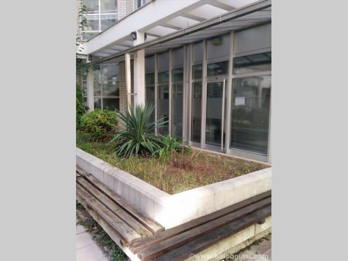 izdaje se lokal 25m2 u atrijumu zgrade kod arene besplatni mali oglasi