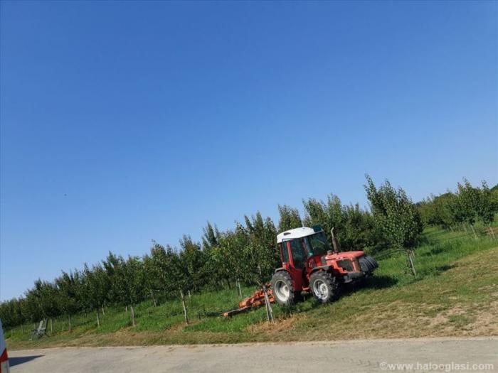plantaža oraha i kajsija besplatni mali oglasi