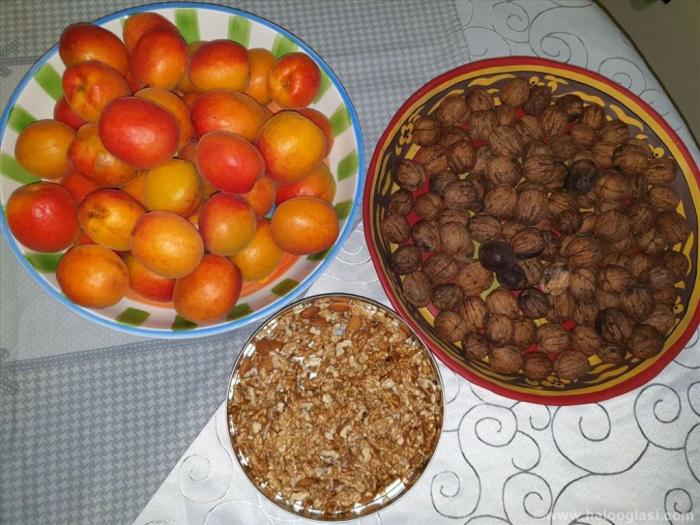plantaža oraha i kajsija besplatni mali oglasi
