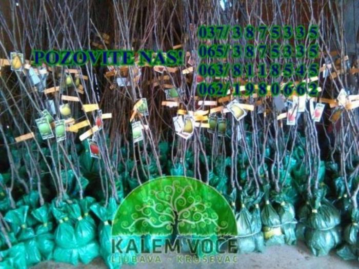 voćne sadnice i lozni kalemovi besplatni mali oglasi