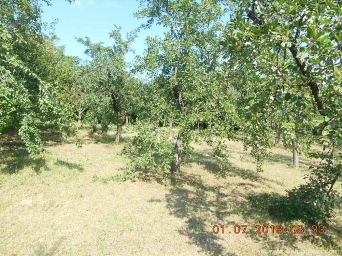 prodaja seoskog domaćinstva kod prokuplja besplatni mali oglasi