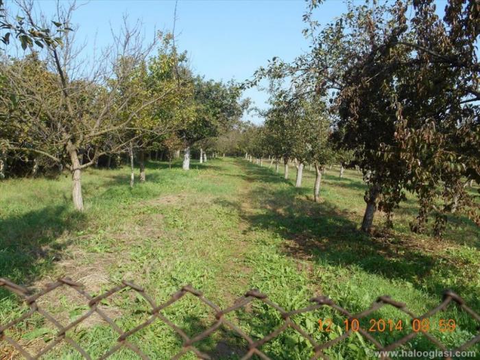 prodaja seoskog domaćinstva kod prokuplja besplatni mali oglasi