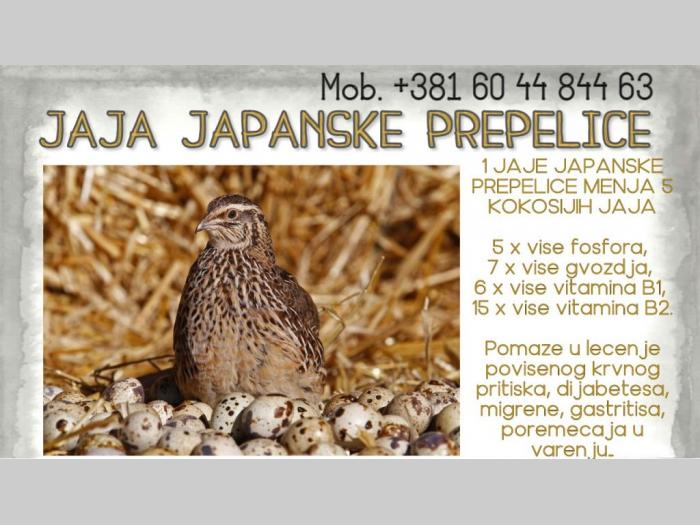jaja japanskih prepelica (oplođena) besplatni mali oglasi