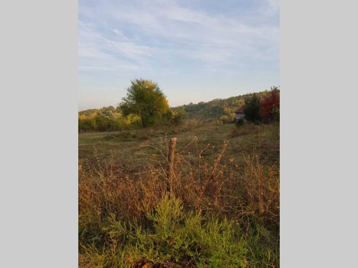 prodajem plac u ripnju besplatni mali oglasi