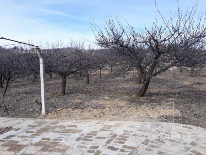 vikendica na fruškoj gori grgurevci, sremska mitrovica besplatni mali oglasi