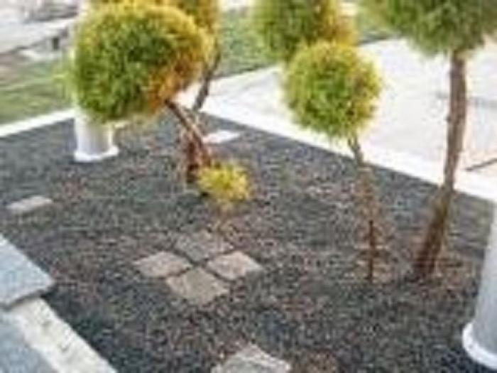 darwin garden dizajn proizvodnja tepih trava novi sad besplatni mali oglasi