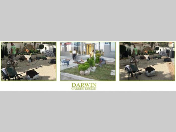 darwin garden dizajn proizvodnja tepih trava novi sad besplatni mali oglasi