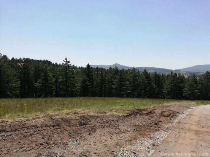 zlatibor plac naselje zova, površina 13 ari besplatni mali oglasi