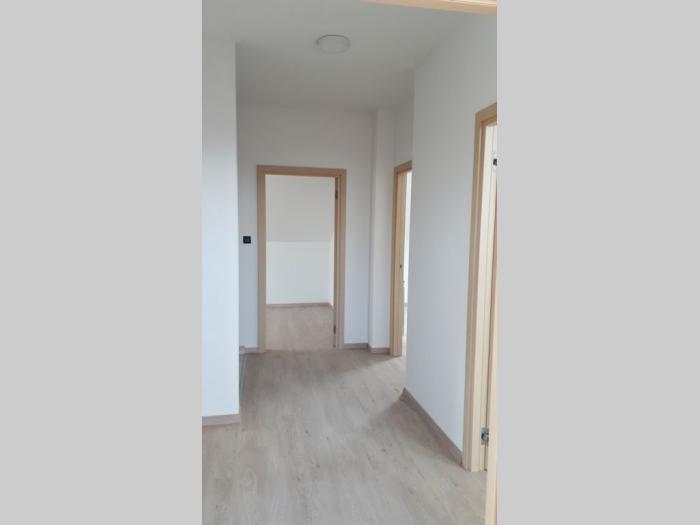 uknjižen duplex voždovac dušanovac besplatni mali oglasi