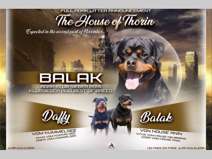 balak vom haus anin leglo rotvajlera  besplatni mali oglasi