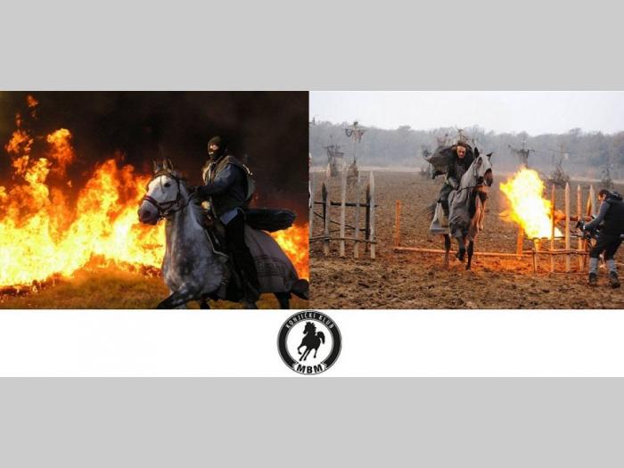 konji za film besplatni mali oglasi