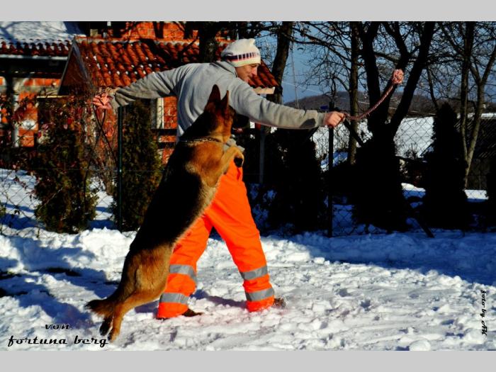mlada ženka besplatni mali oglasi